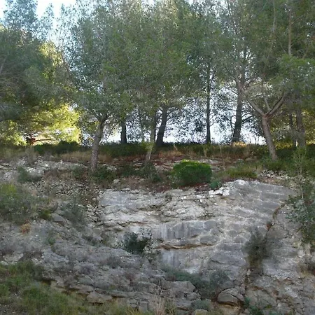 St Marc Par Dodo-a-cassis Cassis